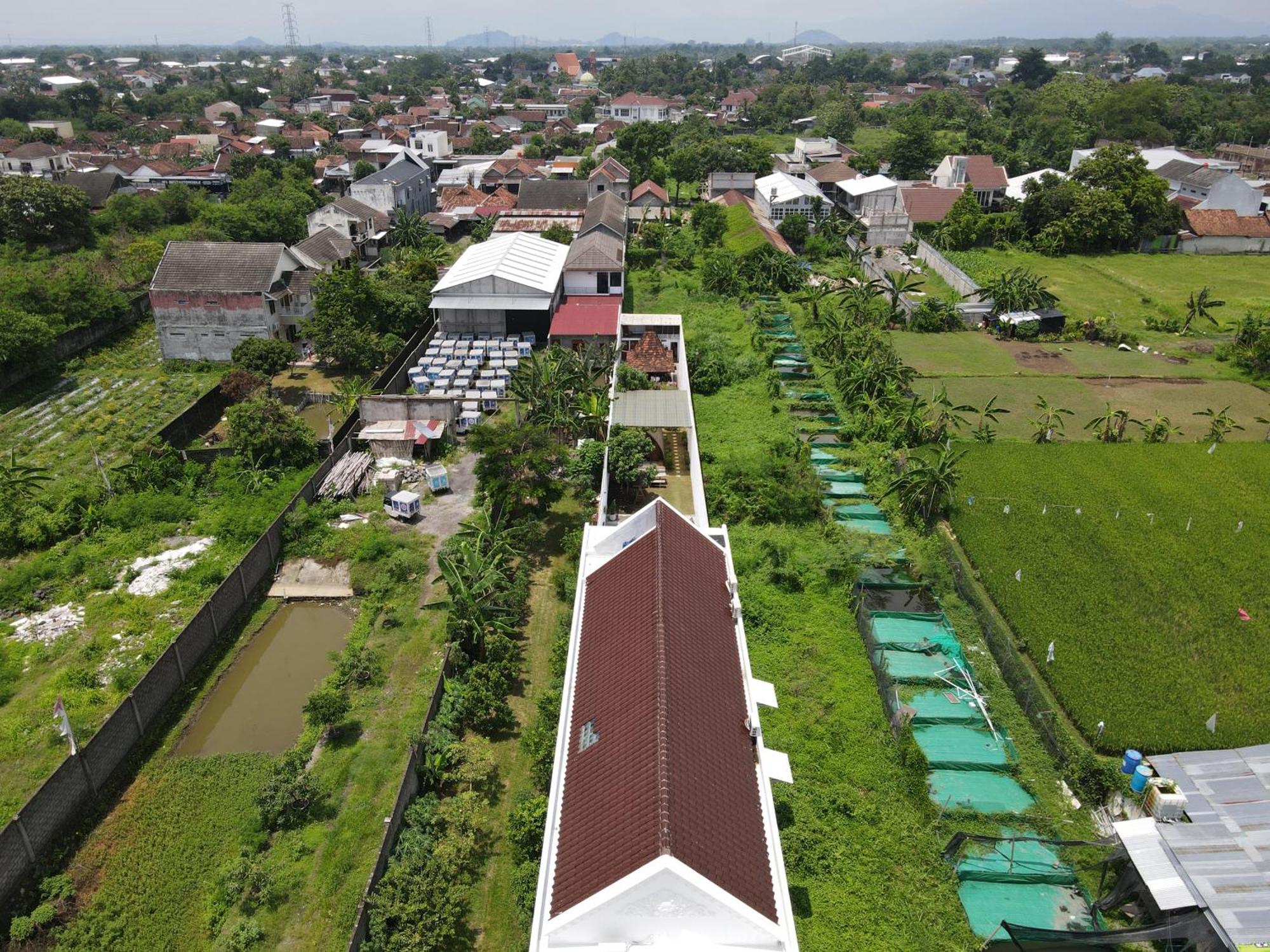 Villa Rumah Putih Jogja Yogyakarta Luaran gambar